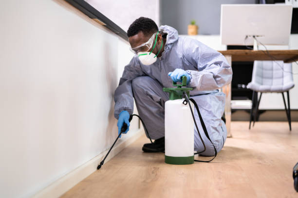 Best Real Estate Pest Inspections  in Hillsdale, NJ